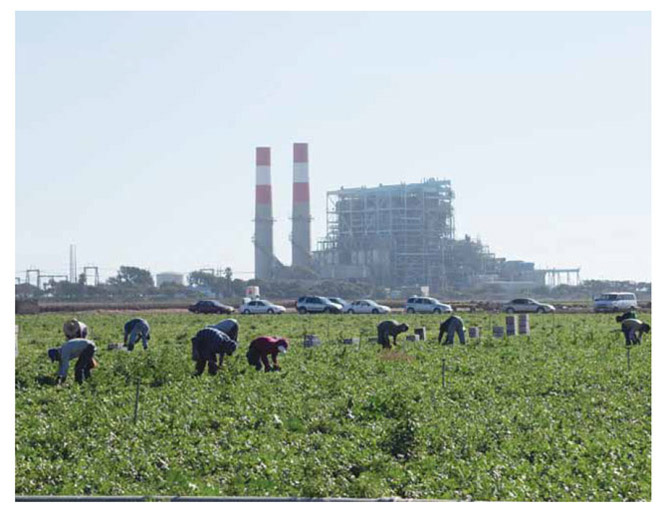 Image of workers working in a field